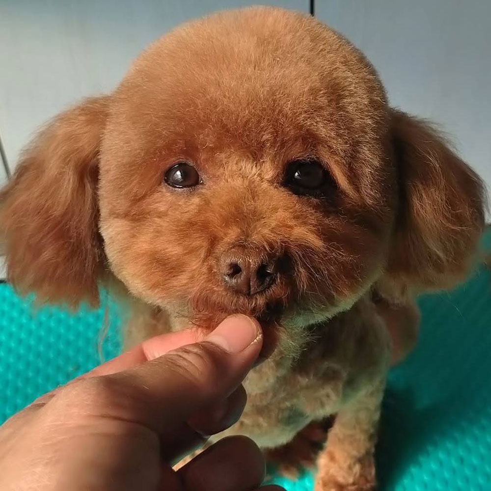 初めての方へ